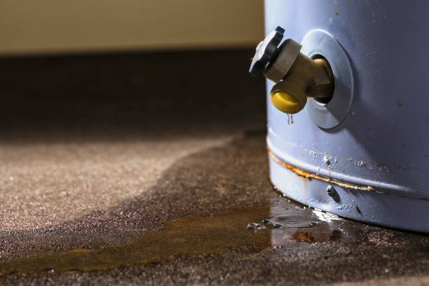 Best Residential water damage restoration  in Bear Creek Ranch, TX
