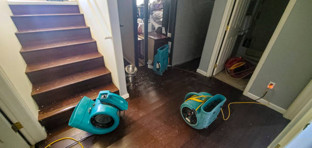Bear Creek Ranch, TX Water damage restoration Company