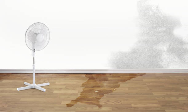 Reliable Bear Creek Ranch, TX Water damage restoration Solutions