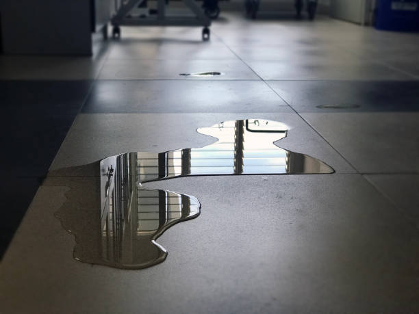 Best Carpet water damage restoration  in Bear Creek Ranch, TX