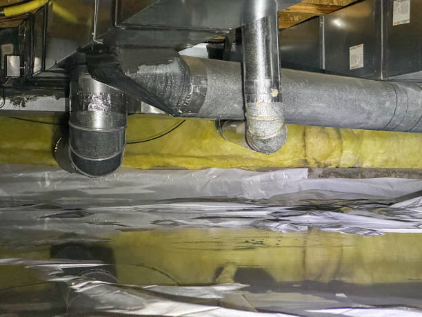 Best Mold removal after water damage  in Bear Creek Ranch, TX