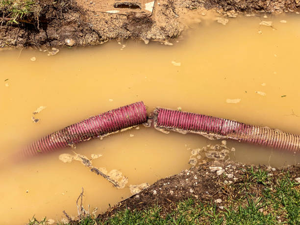 Best Water damage contractors near me  in Bear Creek Ranch, TX