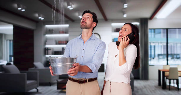 Best Flooded house restoration  in Bear Creek Ranch, TX